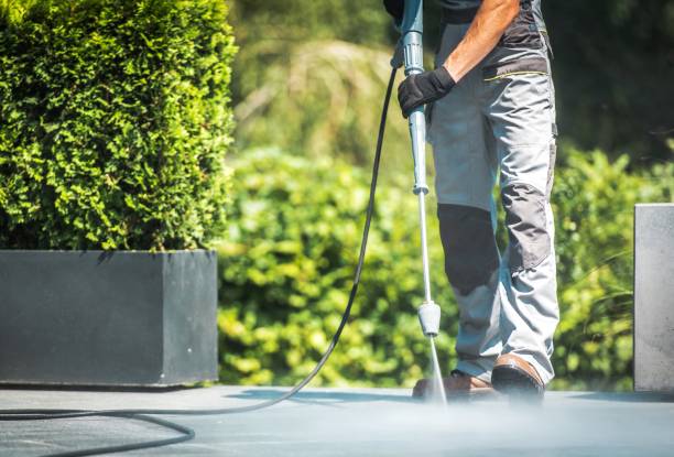 Best Dumpster Area Cleaning  in Ishpeng, MI