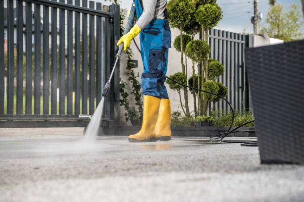 Best Rust Removal  in Ishpeng, MI