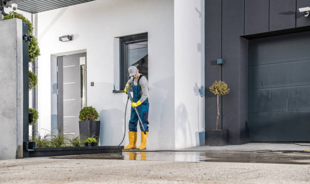 Best Pre-Holiday Cleaning  in Ishpeng, MI